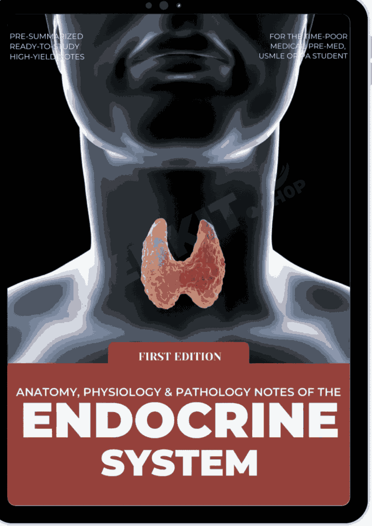 Endocrine