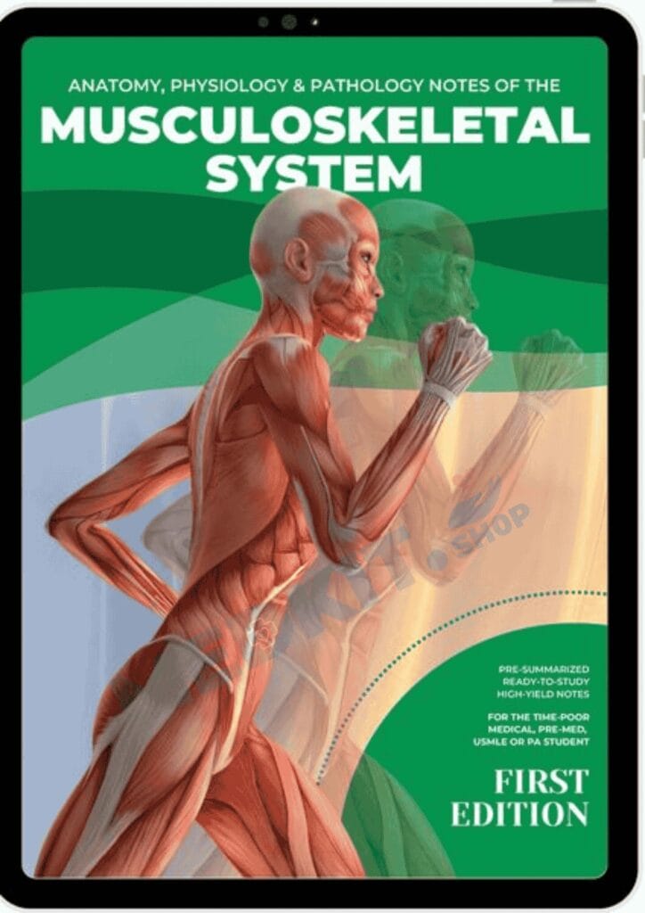 Musculoskeletal System