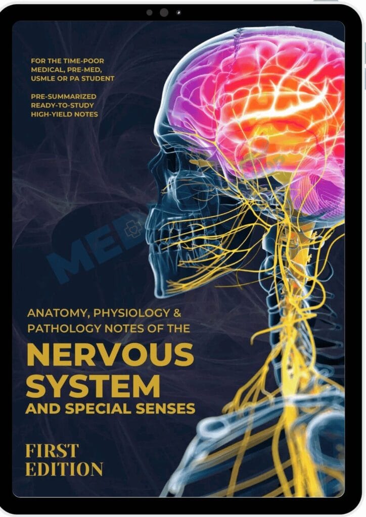 Nervous System