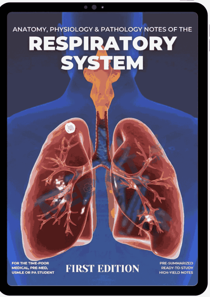 Respiratory system