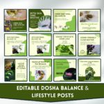 Ayurveda Social Media Marketing Kit