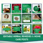 Ayurveda Social Media Marketing Kit