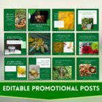400+ Homeopathic Social Media Canva Templates - Image 2