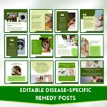 400+ Homeopathic Social Media Canva Templates - Image 5