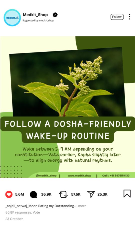 Dosha Balance & Lifestyle Posts (3)