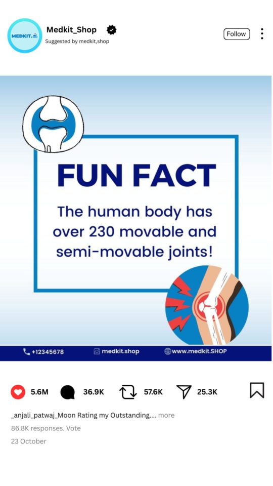 fun fact (4) fun fact (4)
